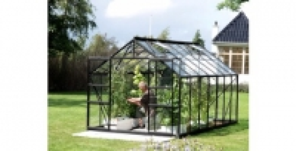 Serre de jardin en verre 11,45m2 LAMS Uranus noir