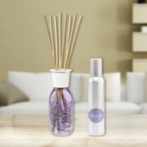 Mr. Fresh® Coffret diffuseur parfum dambiance