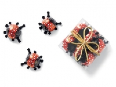Petites coccinelles au chocolat au lait 1.59 €