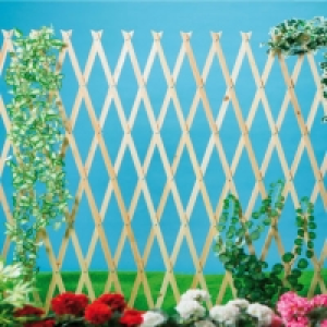 Treillis pliable en&nbsp;bois 9.99&nbsp;&euro;