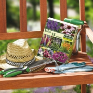 Boîte de 35 vivaces pour jardin dété 4.99 €