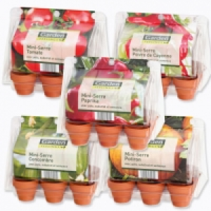 Mini-serre 1.69 €