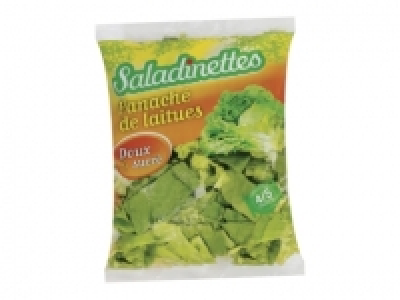 Panaché de laitues ou salade mélangée