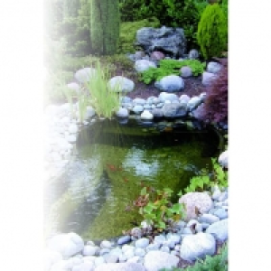 Kit Bassin 500 litres 129.00 €