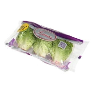 Salades Sucrines x3 Origine Espagne
