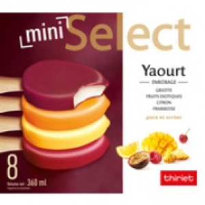 Thiriet Mini sélect yaourt et fruits assortis