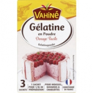 Vahin&eacute; G&eacute;latine alimentaire en poudre