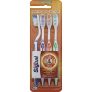 Signal Brosses &agrave; dents, souple