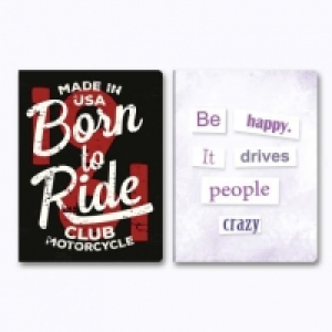 Lot de 2 grands cahiers 1.29&nbsp;&euro;