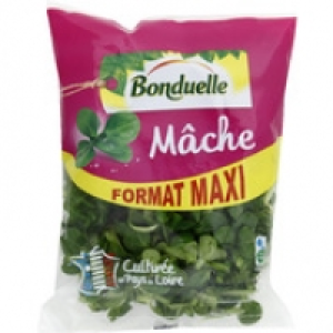 Bonduelle Mâche, feuilles entières, salade prête à servir, format maxi