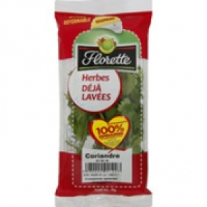 Florette Coriandre