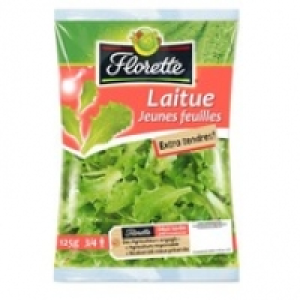 Florette Laitue Jeunes Pousses