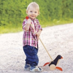 Jeu de plein air en bois 9.99 €