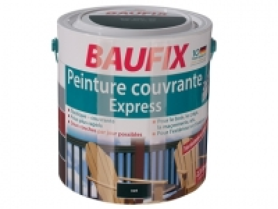 Peinture express 13.99 €