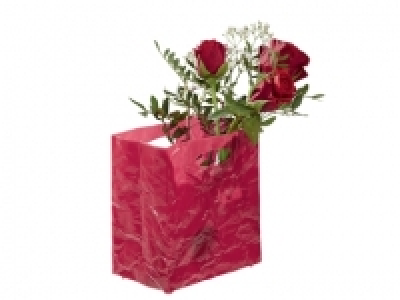 Mini-r&eacute;cipient