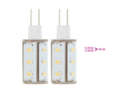 2 ampoules LED G4