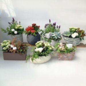 Composition florale