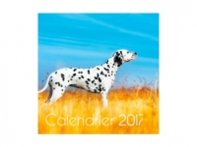 Calendrier grand format 2017