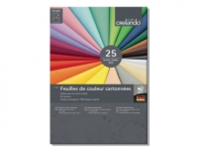 25 feuilles de couleur cartonnees 1.99 €