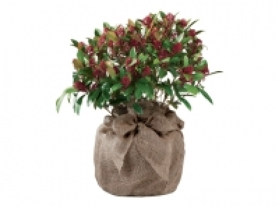 Protection pour plantes