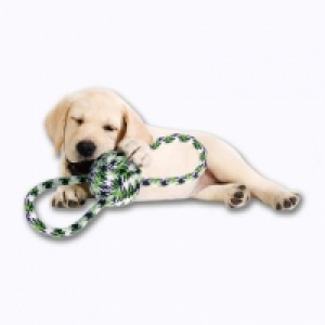 Corde à nuds pour chien 2.99 €