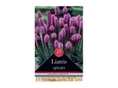 Bulbes dautomne standard 2.58 €