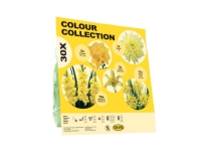 Bulbes dautomne collection