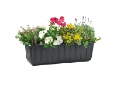 Jardinière avec niveau deau