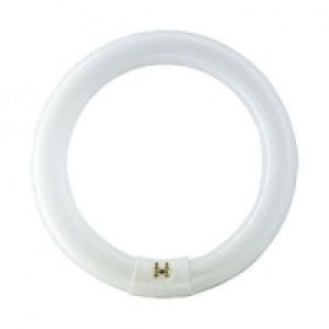 Tube fluorescent circulaire G10Q 40W blanc froid 14.50 €