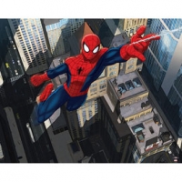 Castorama  Poster XXL Duplex Spiderman