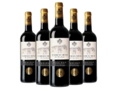 Madiran Terrefortes du Plateau 2014 AOP 13.16 €
