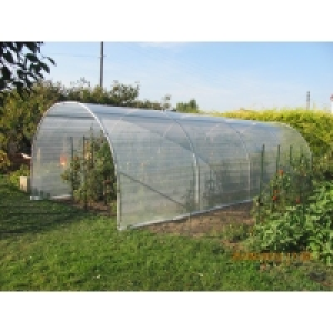 Abri de culture 3x8m