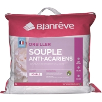 Auchan Blanreve BLANREVE Lot de 2 oreillers souple coton anti-acariens