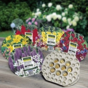 Plateau de 45 bulbes prêt à planter 3.99 €