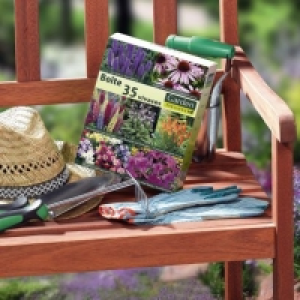 Boîte de 35 vivaces pour jardin dété 4.99 €