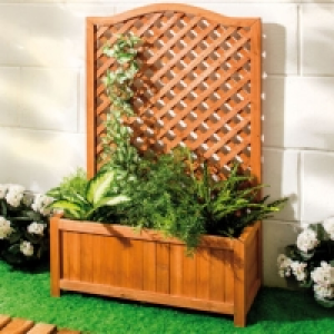 Jardinière avec treillage 21.99 €