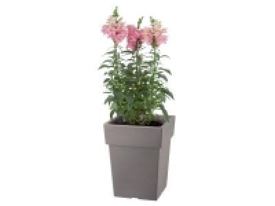 Pot pour plantes 6.99 €