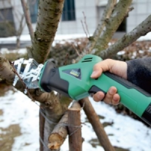 Garden Feelings® Scie-branches sur batterie