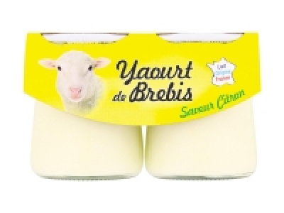 2 yaourts de brebis
