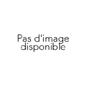 Lit dappoint La Reine des Neiges 39.99 €