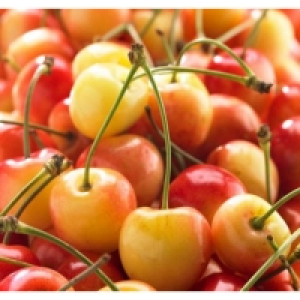 Cerises 1kg Catégorie 1 - Origine Belgique 6.45 €
