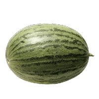 Spar  Melon vert La pièce Origine Espagne