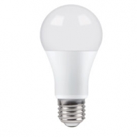 Castorama Diall Ampoule LED E27 14W=100W blanc froid