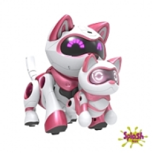 Coffret Chat Teksta rose et son chaton