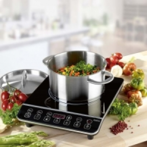 Plaque à induction 32.99 €