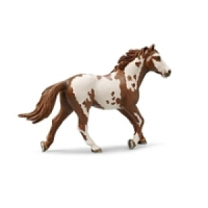 Schleich - Etalon Pinto