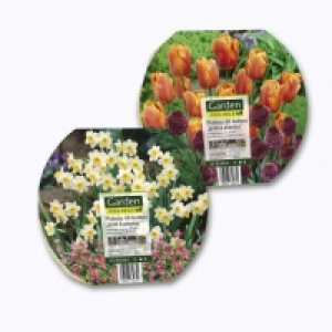 Plateau de 45 bulbes prêt à planter 3.49 €