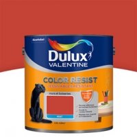 Castorama Dulux Valentine Peinture Col. Resist murs et boiseries rouge feu mat 2,5L