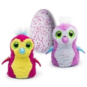 Hatchimals Penguala rose