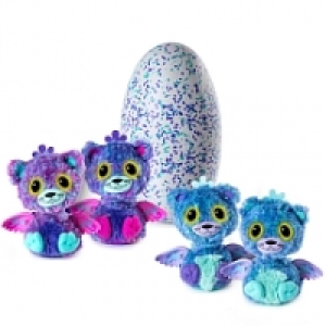 Hatchimals Surprise - Chat